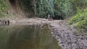 Gái Xinh Vào Rừng Cắm Lều Sống Hoang Dã| Survival in the forest | wild life