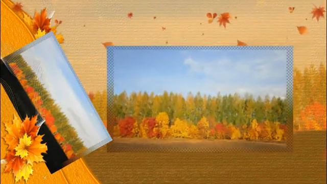 #Природа #Осень #Осеннийпривет #Thebeautyofgoldenautumn #осенняямелодия