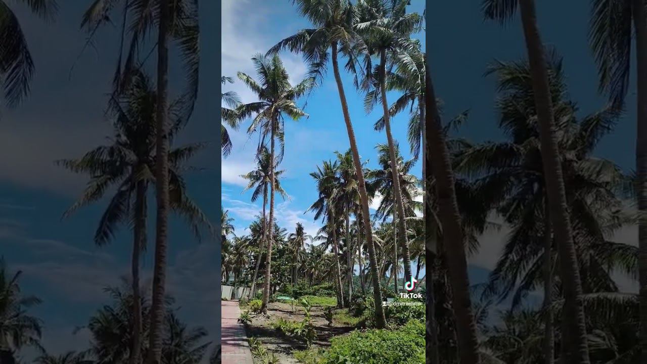 Travel in the Island ️ Boracay #boracay #travel2023 #phillipines #boracayisland #bike #scooter смотреть онлайн