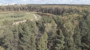 Мещерский парк с высоты птичьего полета