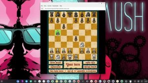 Playing Flash Ultimate Chess On CloudReady