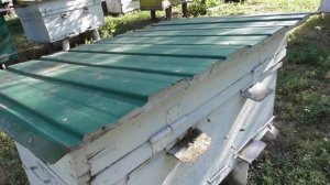 ЦЕНА МЕДА НА РЫНКЕ. ГЛАВНЫЙ МЕДОСБОР...