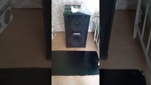 Колонка концертная дома