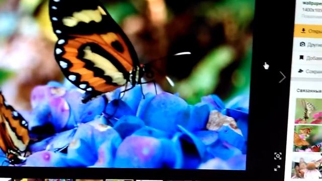 Красивые и клёвые картинки из интернета. смотреть онлайн