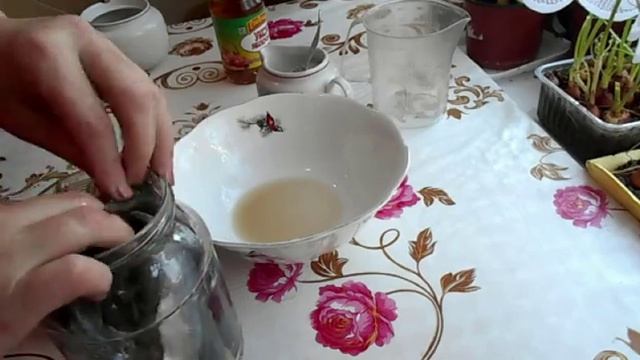 Рецепт вкусной маринованной рыбы! Нежная маринованная салака.