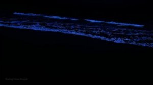 All You Need to Fall Asleep/ 24 Hours of Ocean Sounds for Deep Sleeping on Beach at Night