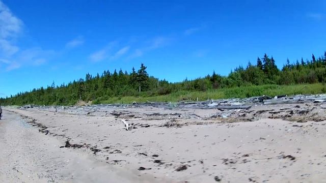 Белое море, деревня Козлы. The white sea, the village Goats. смотреть онлайн