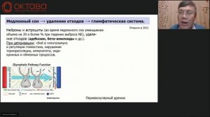 "МОЗГ И СОН" - Вячеслав Дубынин МГУ(онлайн лекция)