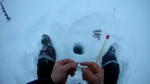 поездка на мотособаке на рыбалку с детьми