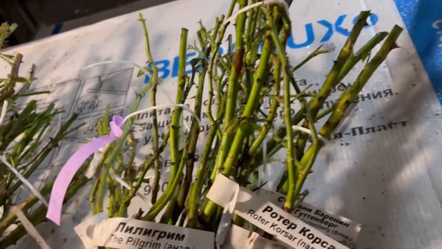 10 наборов с уценкой смотреть онлайн