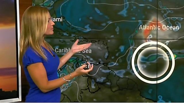 Jen Carfagno - The Weather Channel - 080621 Blue Dress - Profile View - Easy On The Eyes смотреть онлайн