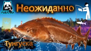 RF4 ПРОСТО СПОКОЙНО ЛОВИЛ А ТУТ ТАКОЕ ПРОИЗОШЛО #рр4