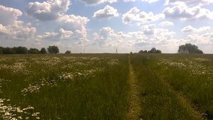 Самая высокая точка Московской области - вид на Замри-гору от её подножия - 2 ч из 5