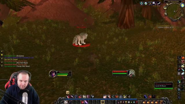 Let's Play Classic WoW SOM | HARDCORE | Night Elf Rogue | EP. 205 | Gameplay Walkthrough смотреть онлайн