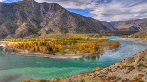 Sam 'The Man' Taylor - Dano Operation Scenery