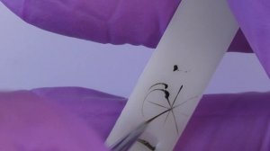 Как подстричь кисть для тонких линий/все секреты