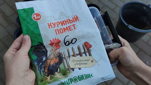 Тюльпаны, букетная посадка. смотреть онлайн