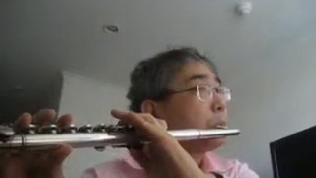 찬송가 Hymn - 300 장 - 예수께로 가면 - Pearl Nickel Flute смотреть онлайн