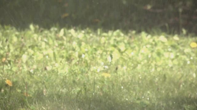 Насадка для полива "Улитка" НПУ-500 смотреть онлайн