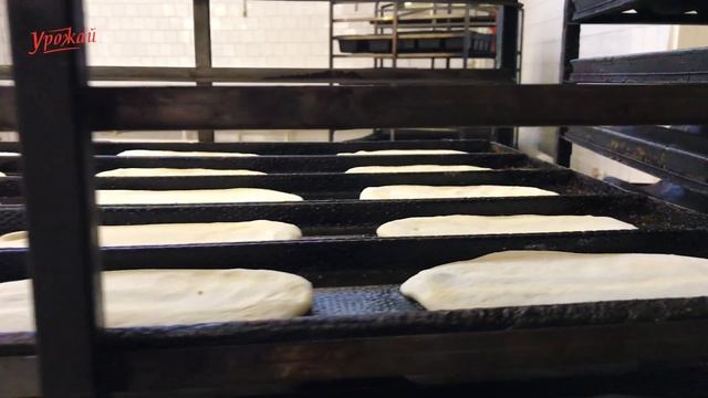 Пекарня "Урожай" | Экскурсия на производство смотреть онлайн