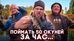 Люди у которых клюёт | Выпуск 47 | Поймать 50 окуней за час…