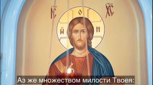 5 ПСАЛОМ| Глаголы моя внуши Господи | Да исцелит Господь глаза, уязвленные злодеем.