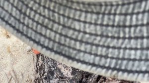 Я остался ЖИТЬ на НОВОМ НЕОБИТАЕМОМ ОСТРОВЕ пока не наберу 1млн [7-День]