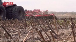 Мощный трактор Buhler Versatile 435 big tractor с мощной дисковой бороной EVERSAGRO disc harrow