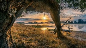 Arnaud van Beek. Crying