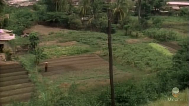 Roots of Rhythm (1 of 3) Africa and Spain. Raíces del Ritmo. смотреть онлайн