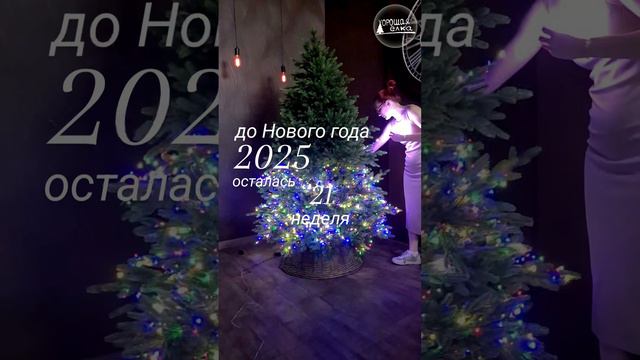 До нового года 2025 осталась 21 неделя 
❄️☃️🌲

21 weeks left until the new year 2025 ❄️☃️🌲