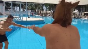 Полулошадь Полушлюз