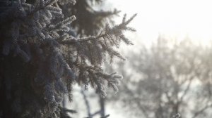 Walkingway: Бюджетные светофильтры с киношным эффектом! + СКИДОЧНЫЕ КУПОНЫ