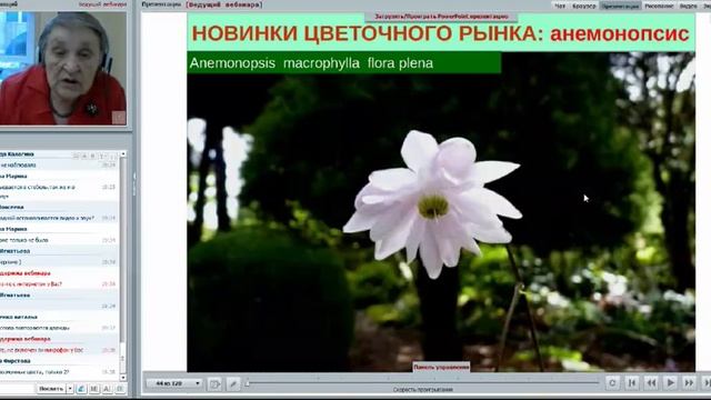 Вебинар Татьяны Шаповал «Новинки цветочного рынка», часть 2