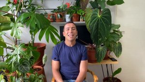 Anthurium Magnificum Care Guide