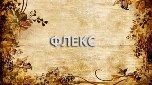 Флекс ? - что такое Флекс и как пишется слово Флекс