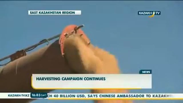 Небывалый урожай зерна смотреть онлайн