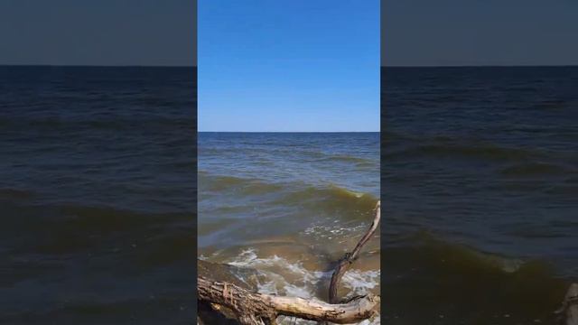 Черное море 4 июля 2023 года вода теплая