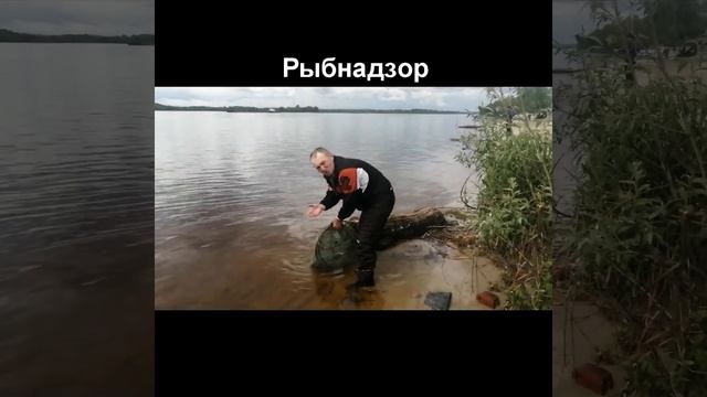 Ловить в нерест, это весело! смотреть онлайн