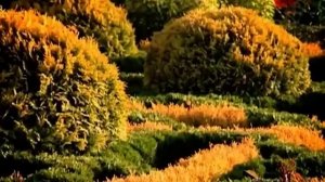 Ландшафтный дизайн IL NATURE