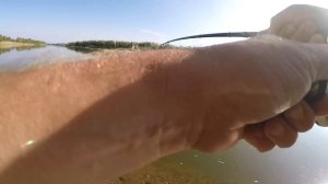 РЫБАЛКА В АСТРАХАНСКОЙ ОБЛАСТИ ОСЕНЬ 2023!!!