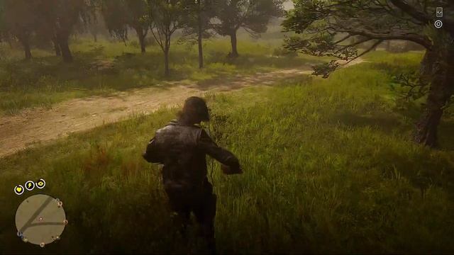 Red Dead Online  ANUBIS СТРИМИТ С ЧИТОМ Камеру вырубай!!! ?? #3 смотреть онлайн