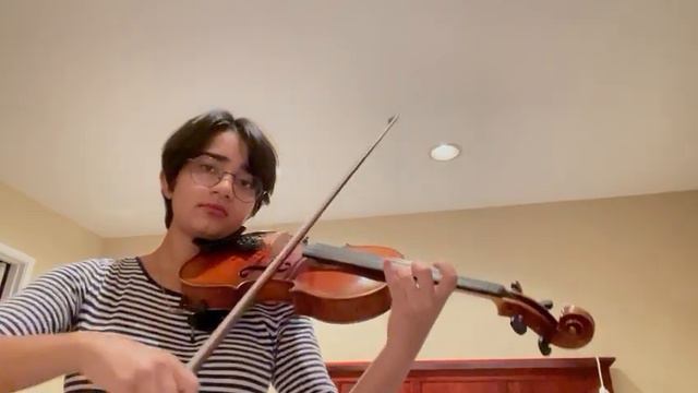 Experience-Violin Cover смотреть онлайн