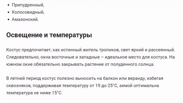 Костус. Растения для дома и сада.