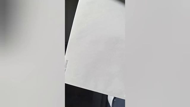 Алиса Теплякова пришла на психфак. Факультет оказался не готов.