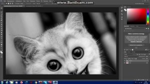 Как наложить одно изображение на другое в Adobe Photoshop.
