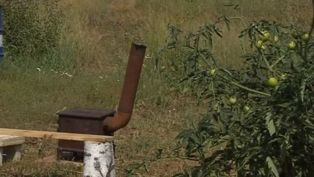 Урожай без воды
