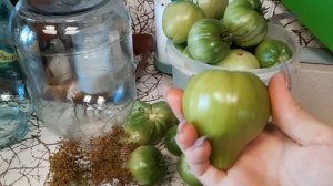 Рецепт квашеных зелёных помидоров на зиму !!!