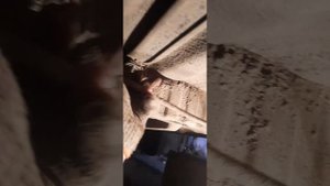 ручник тросса ауырбастау тойота карина е