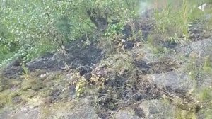 0108-ХРОНИКИ ТУНДРОВЫХ ПОЖАРОВ